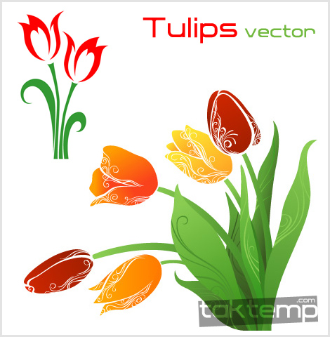 Tulips-vector